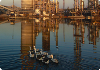 Oil & Gas 19 Oil & Gas 19