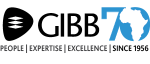 A World Class Africa Based solutions Provider Of Infrastructure Planning, Design & Delivery